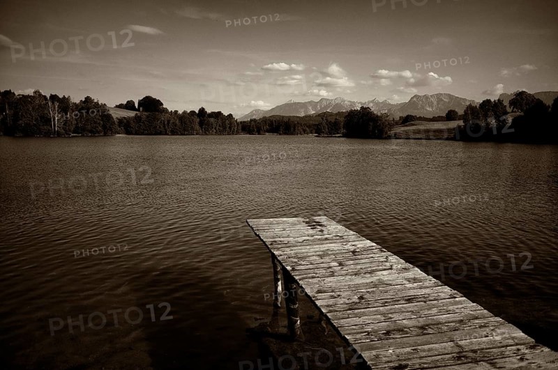 Bathing jetty, jetty, wooden jetty, jetty, leads into a lake, bathing lake, Schwaltenweiher near Seeg, vintage, black and white, Ostallgäu, Allgäu, Swabia, Bavaria, Germany, Europe