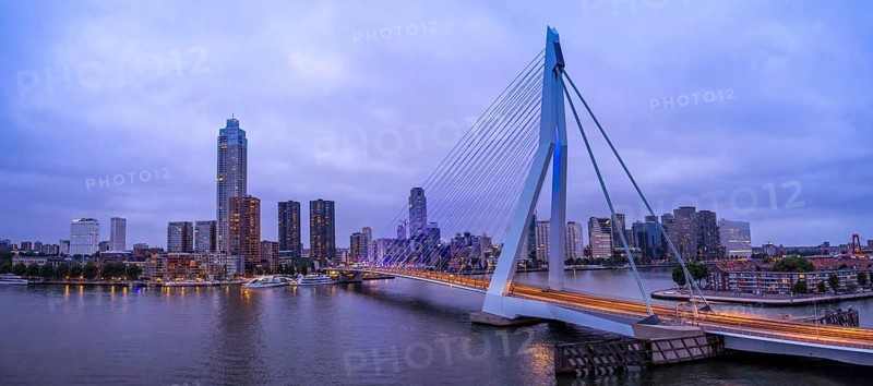 Panoramic view of Erasmus Erasmusbrug bridge in Rotterdam . Financial business district skyline