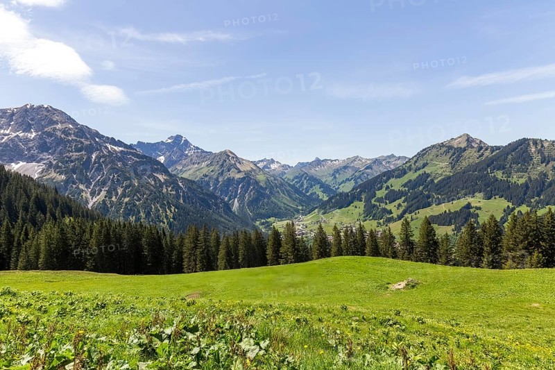 Green, expansive meadows in the Alps with gently sloping mountains in Kleinwalsertal, Austria, Europe