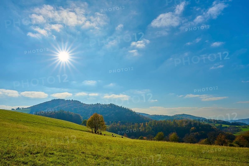 Sunny landscape with hills and trees under a clear blue sky, Vöckelsbach, Mörlenbach, Bergstrasse district, Odenwald, Hesse, Germany, Europe