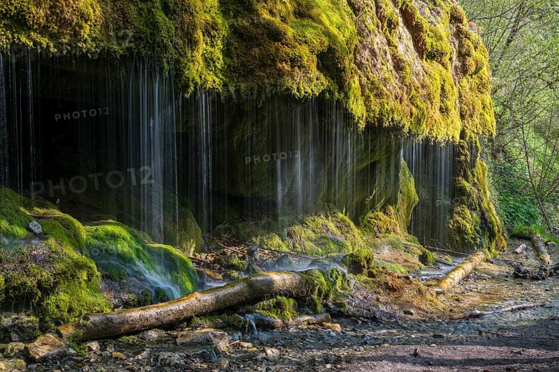 Dietfurt Waterfall, a moss waterfall in the Wutach Gorge, Black Forest, Baden-Württemberg, Germany, Europe