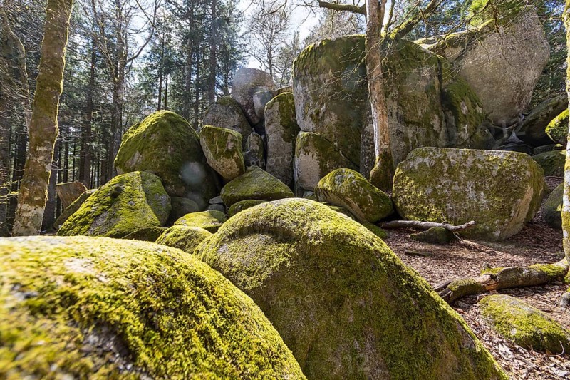 Granite rock Günterfelsen near the source of the Danube, Furtwangen in the Black Forest, Baden-Württemberg, Germany, Europe