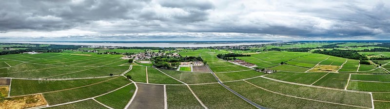 Panorama of Chateau Pontet-Canet Vineyard and grape fields around Pauillac and Gironde Estuary from a drone, Bordeaux, Gironde, Nouvelle-Aquitaine, France, Europe
