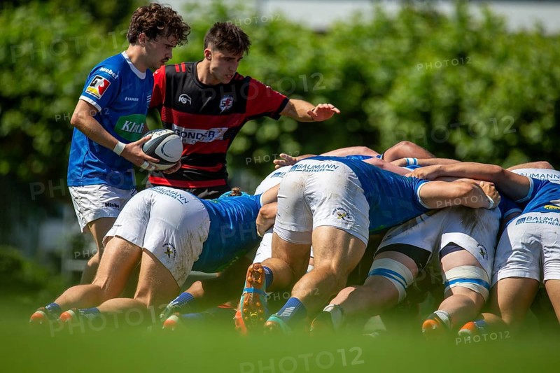 Rugby 1st Bundesliga South/West, 2024/25 season, final phase semi-final: SC Frankfurt 1880 vs SC Neuenheim
