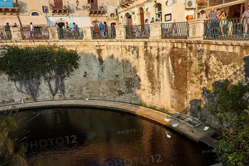 Largo Aretusa, Fonte Aretusa, scenic bridge over water with walkers and plants in the city centre, Ortigia Island, Isola di Ortigia, historic old town, Syracuse, Sicily, Italy, Europe