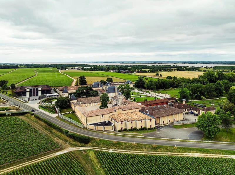 Vineyard of Chateau Beychevelle from a drone, Saint-Julien-Beychevelle, France, Europe