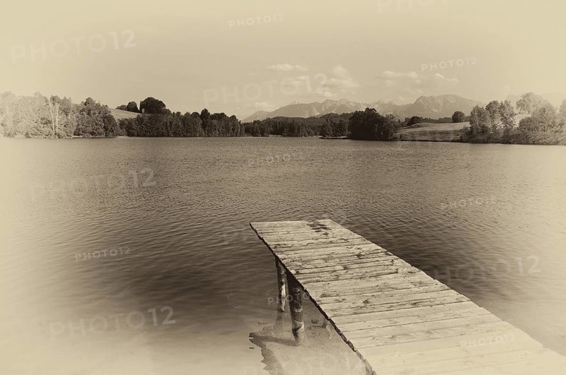 Bathing jetty, jetty, wooden jetty, jetty, leads into a lake, bathing lake, Schwaltenweiher near Seeg, vintage, black and white, Ostallgäu, Allgäu, Swabia, Bavaria, Germany, Europe
