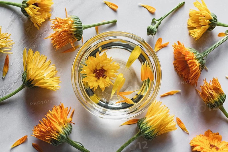 Homemade Calendula infused oil in a bowl, marigold flowers on white background, herbal medicine flat lay