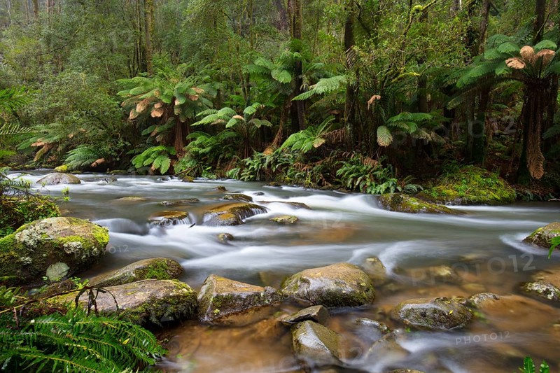 The popular Hopetoun Falls and surrounds after fierce winter storms near Lorne, Victoria, Australia, Oceania