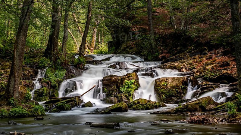 Selke Waterfall in the Harz Mountains Waterfall