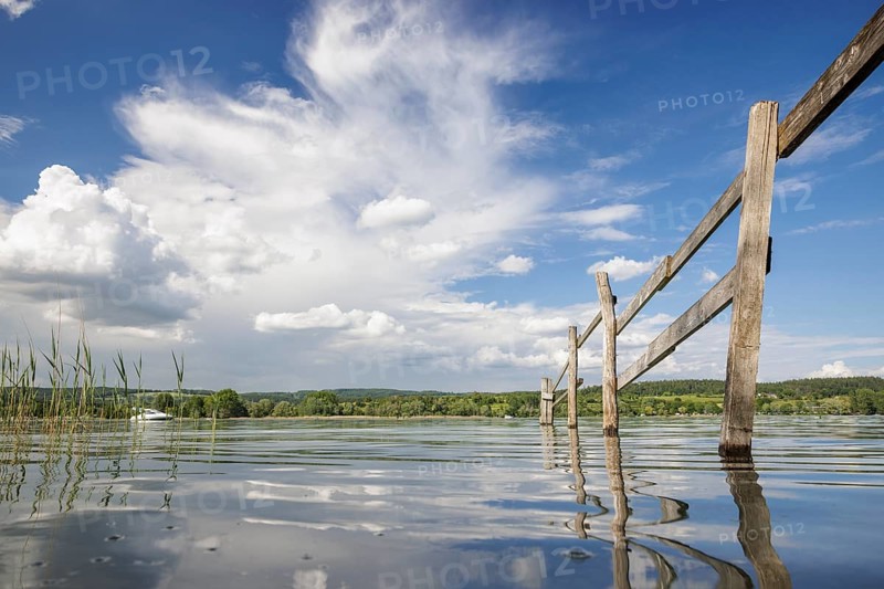 A wooden fence stretches into the calm waters of a lake, surrounded by a wide sky and white clouds, Mettnau, Radolfzell, Markelfingerwinkel, Untersee, Lake Constance, Constance District, Baden-Württemberg, Germany, Europe