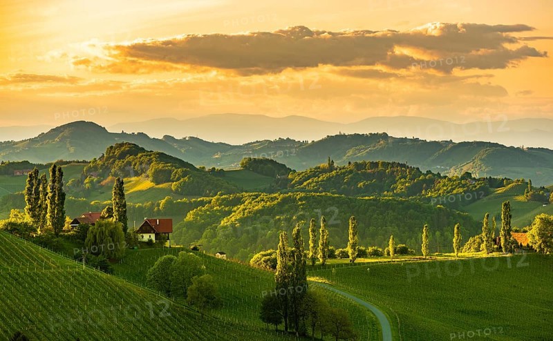 South styria vineyards landscape, near Gamlitz, Austria, Europe. Grape hills view from wine road in spring, Europe