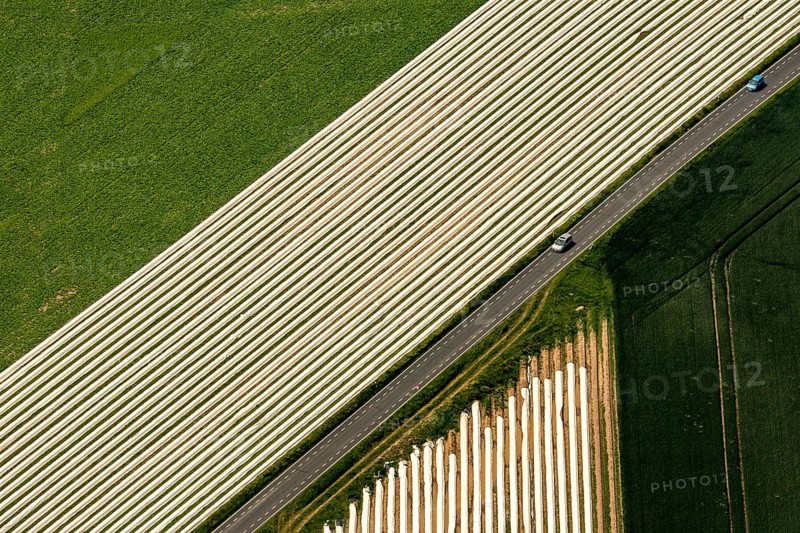 Spagel fields on the Lower Rhine