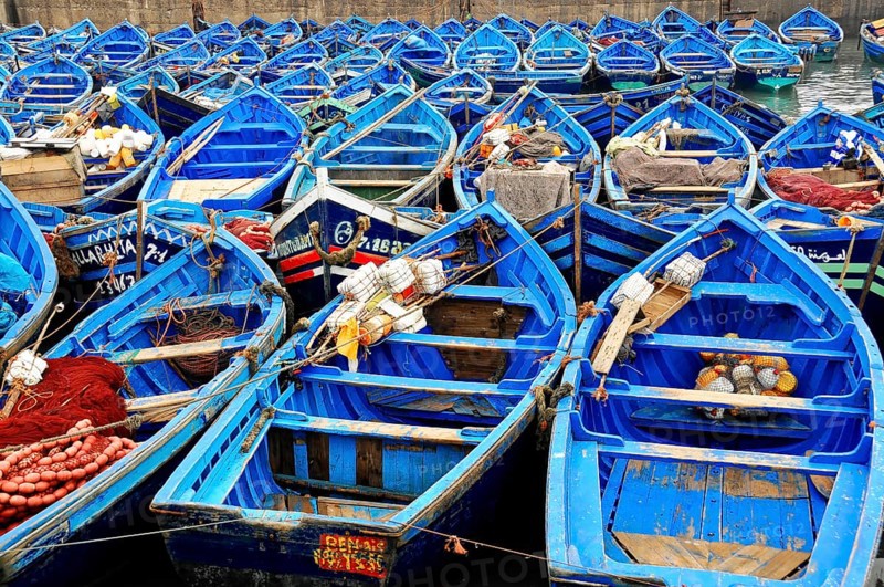 Essaouira, Morocco, North Africa, Africa, Close-up of many closely moored boats, prepared for fishing activities, Africa