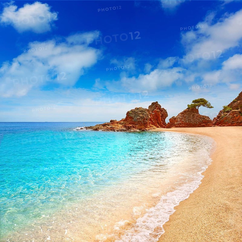 Platja Fenals Fanals Beach in Lloret de Mar at Costa Brava of Catalonia Girona Spain