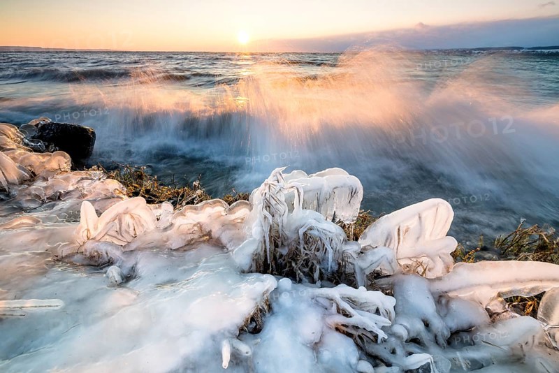 Frozen coast at sunrise with breaking waves and ice-covered plants, Hörnle, Constance, Lake Constance, Baden-Württemberg, Germany, Europe