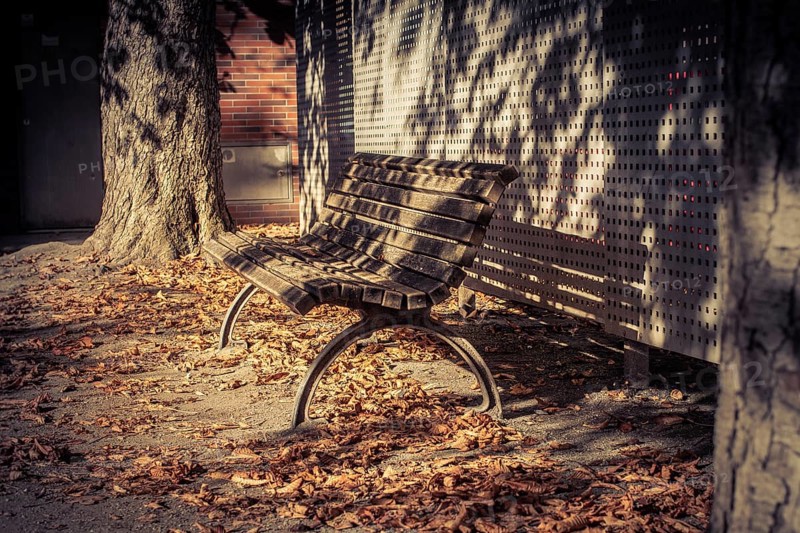 An empty park bench surrounded by autumn leaves, casting shadows and radiating silence, On the streets of Weimar