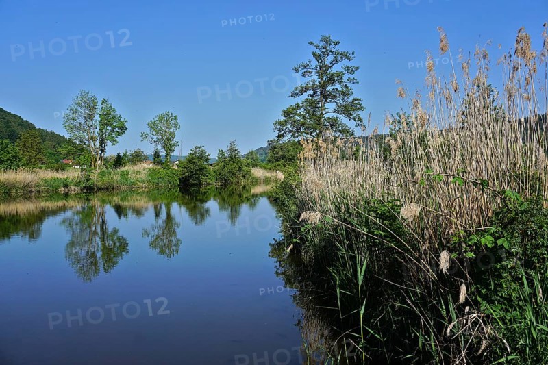 Altmühltal nature park, the Altmühl near Beilngries, Upper Bavaria, Germany, Altmühltal nature park, the Altmühl near Beilngries, Upper Bavaria, Germany, Europe