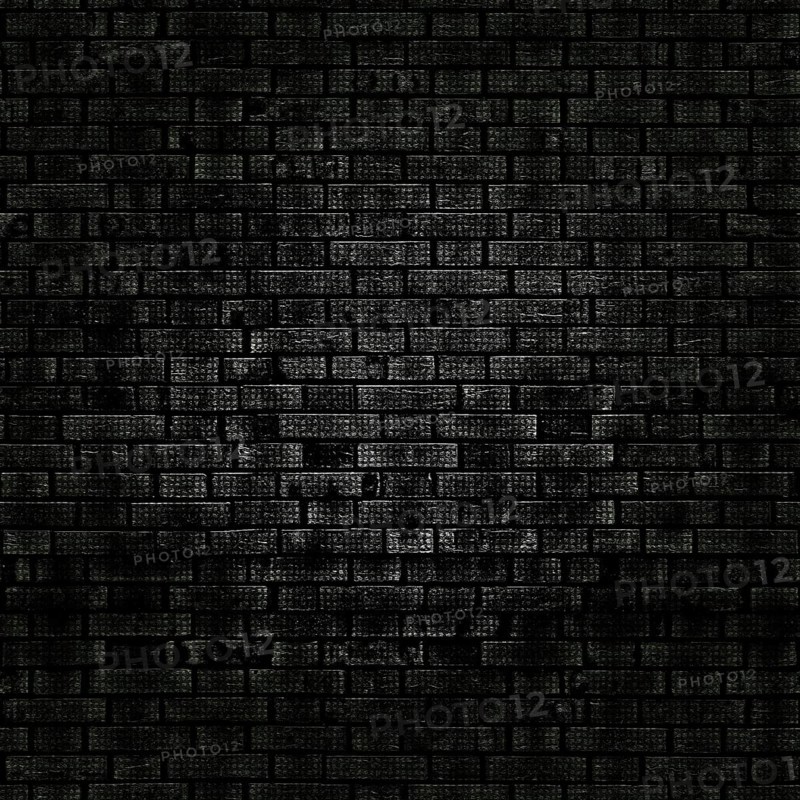 Dark grunge brick wall texture creating a dramatic and textured background, ideal for design projects needing a gritty and urban feel.Belarus