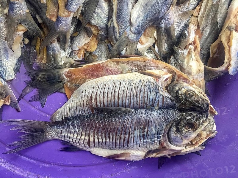 Close-up of dried fishes, more in background, at purple plate at a market, Santa Cruz de Mompox, Colombia, World Heritage, South America