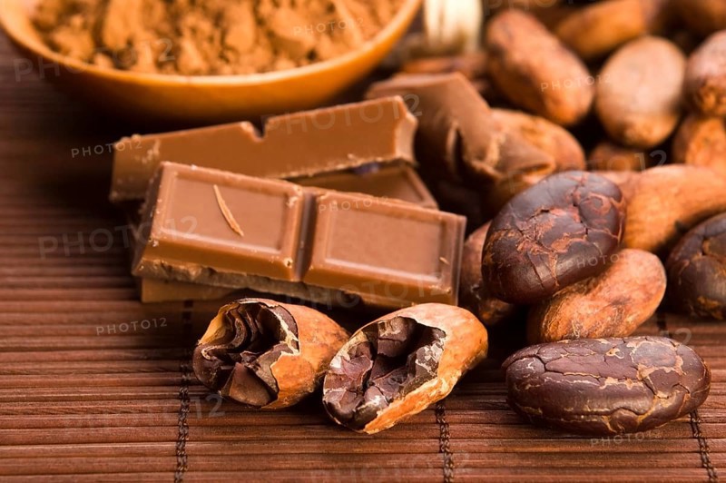 Cocoa (cacao) beans with chocolate, lodz, poland