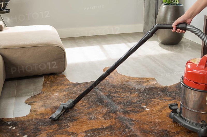 Cleaning the house, vacuuming the floor with the vacuum cleaner, carpet of the house
