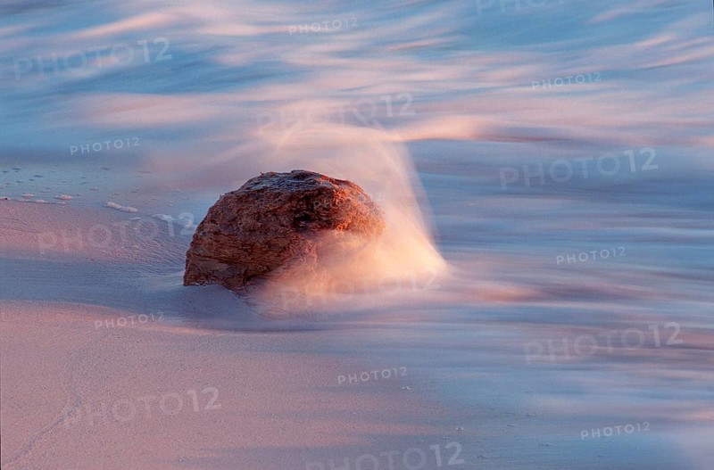 Driftwood on the beach, Jamaica, Caribbean Sea, Caribbean, Central America