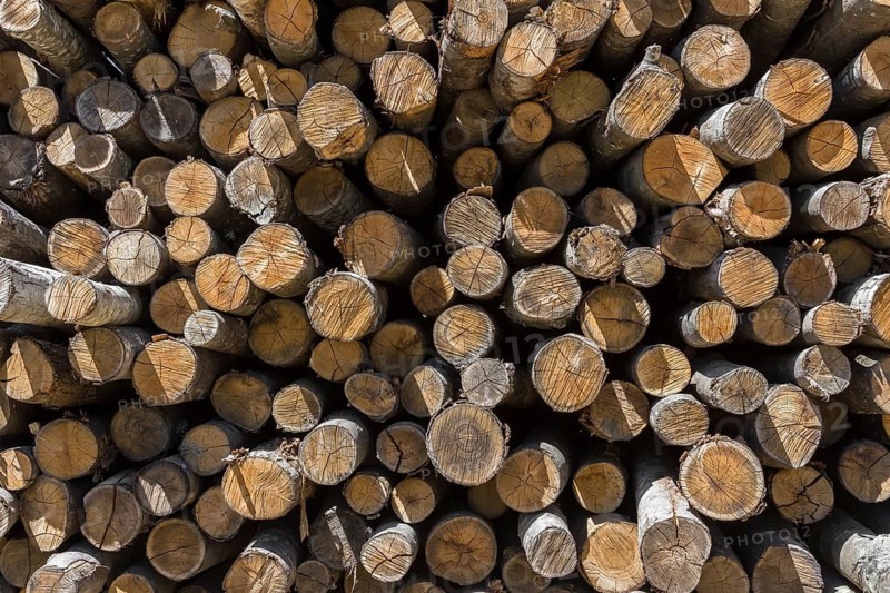 Pile of wood logs ready for winter. Stack of firewood as background