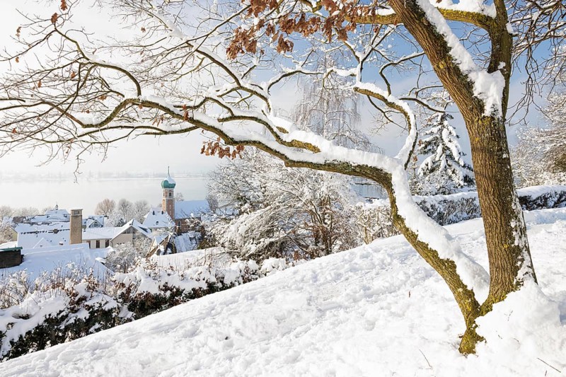 A snowy village with houses and a church tower of St. Nicholas, winter atmosphere, peaceful, Höhrenberg, Allensbach, Lake Constance, Baden-Württemberg, Germany, Europe