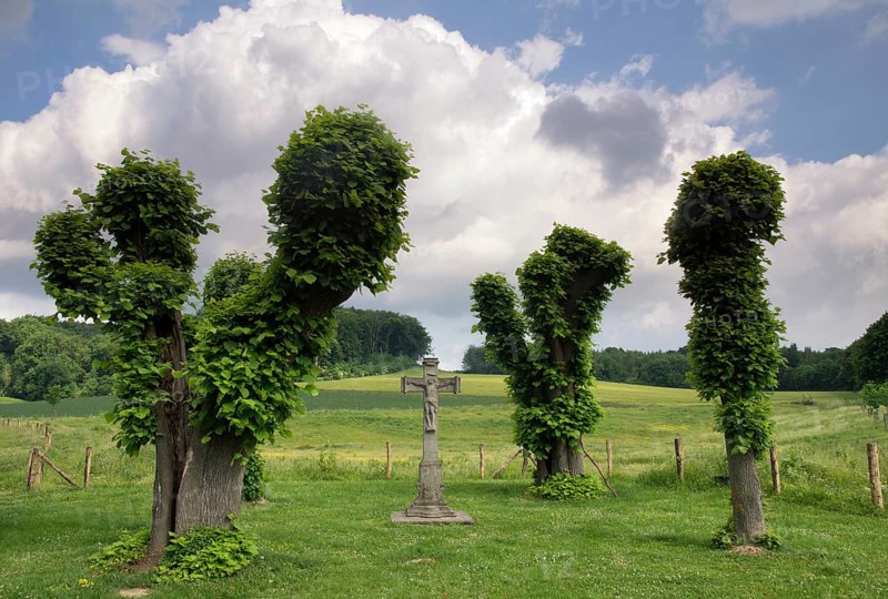 Wayside cross near Terborgh castle in the Dutch village Schinnen in the most southern province Limburg