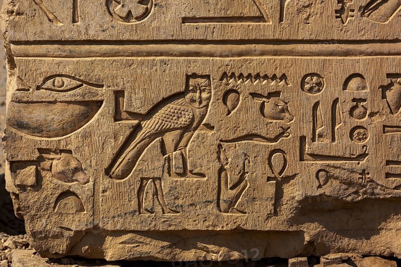 Ancient egypt images and hieroglyphics on wall