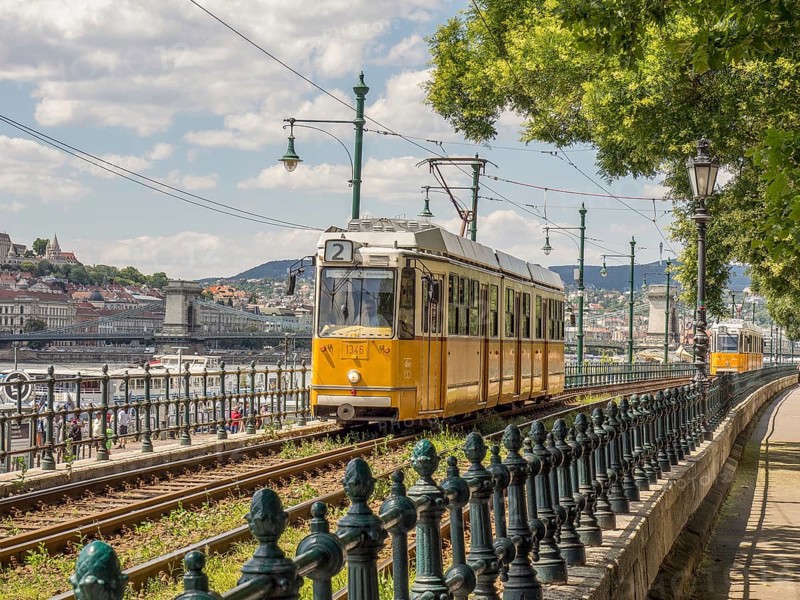 A yellow tram runs along a sunny street with green trees in a city, budapest, danube, hungary
