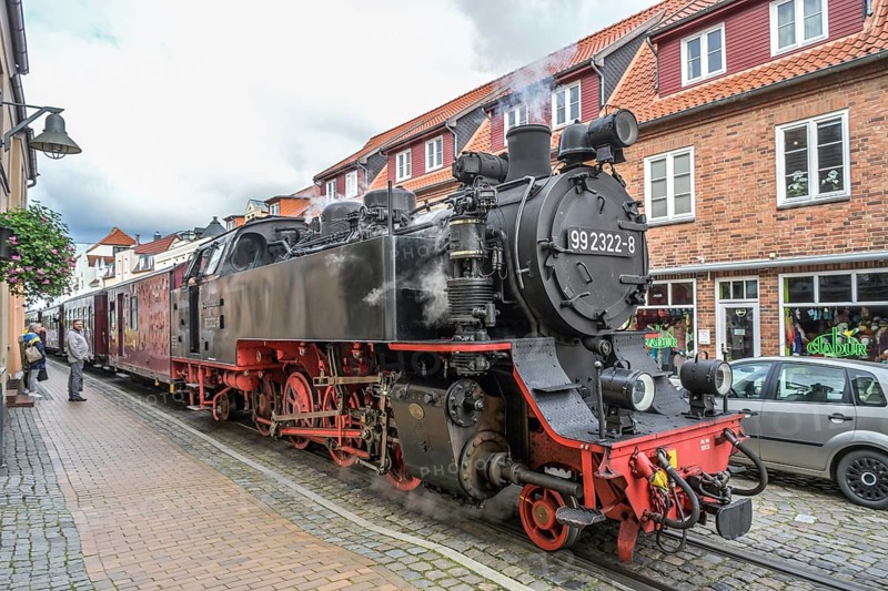 Mecklenburgische Bäderbahn Molli, Mollistraße, Bad Doberan, Mecklenburg-Vorpommern, Germany, Europe