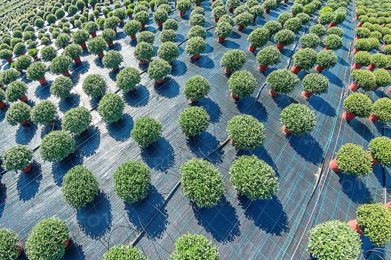Outdoor Plant Nursery, Potted Plants, Flower Pots Outdoor, Nursery for plants