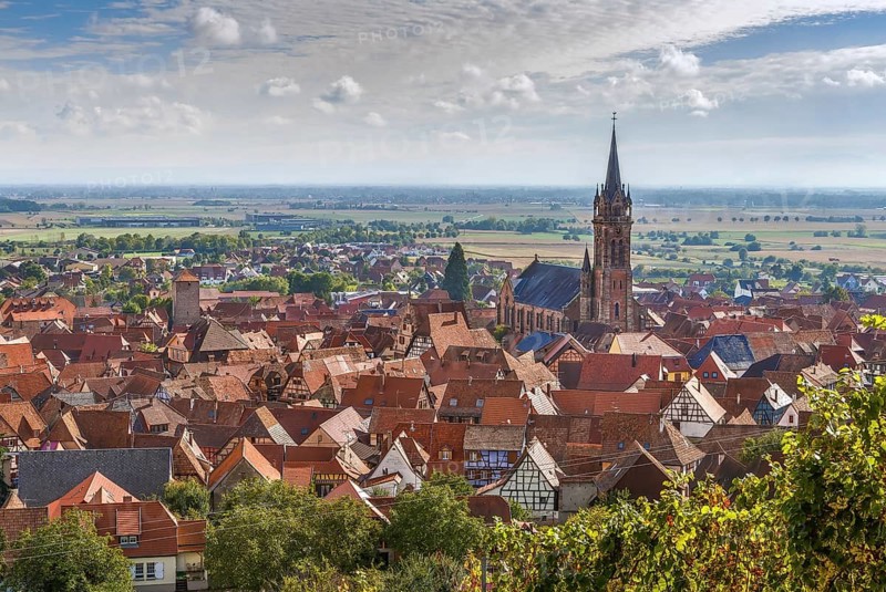 View of Dambach la Ville from the hill with vineyard, Alsace, France, Europe