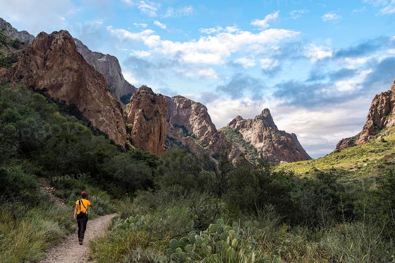 A hiker walking thtough the mountains of Big Bend National Park, USA, North America