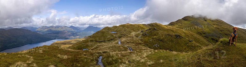 Panorama on the summit path to Ben Lomond with mountain lake and male Magyar Vizsla, Loch Lomond and the Trossachs National Park, Scotland, Great Britain