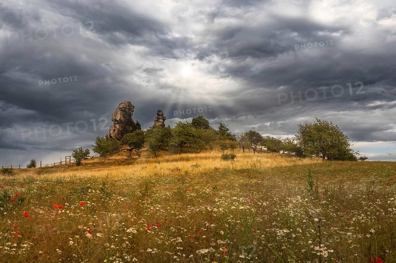 Devil's Wall Harz nature reserve with flowering summer meadow