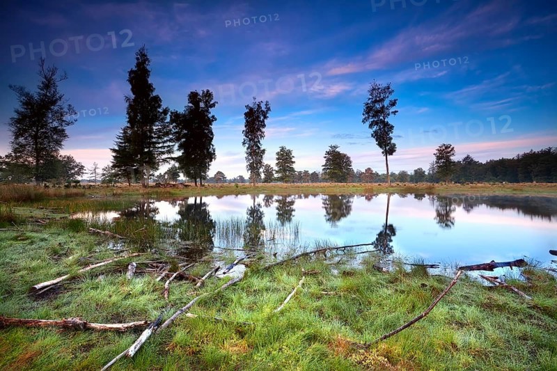 Sunrise over little wild lake, Drents-Friese wold, Netherlands