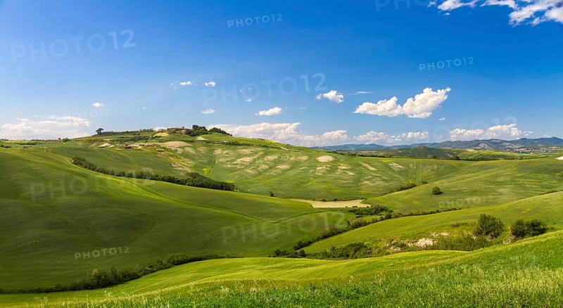 Hilly landscape with blue skies in Crete Senesi, Asciano, Siena, Italy, Europe