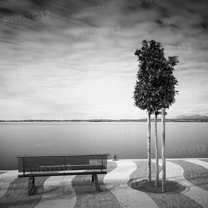 Shore promenade on Lake Garda, Italy, with trees and bench, Europe