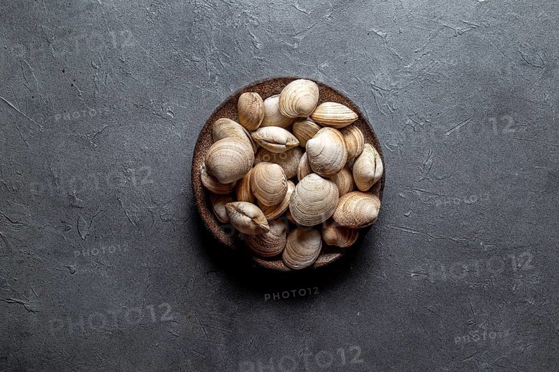 Food, Food, Raw fresh clams in gray plate, gray background