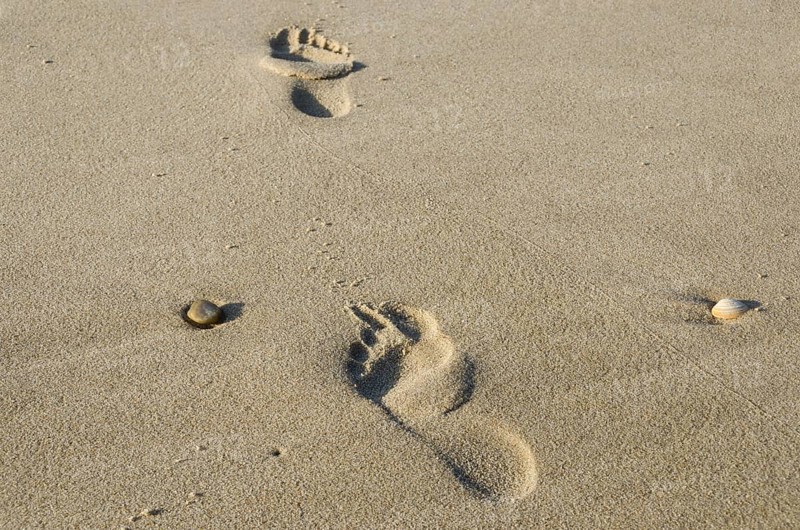 Footsteps in the sand at the beach