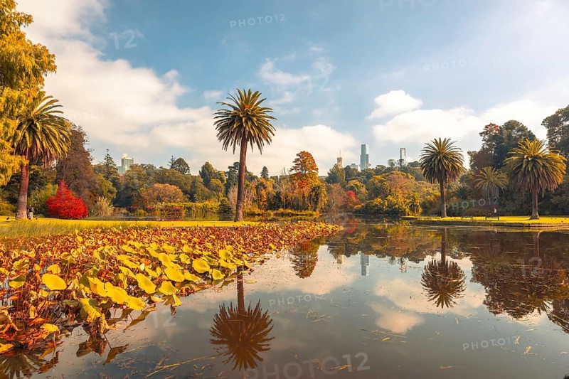 Royal Botanic Gardens Victoria on a cool autumn morning in Melbourne, Victoria, Australia, Oceania