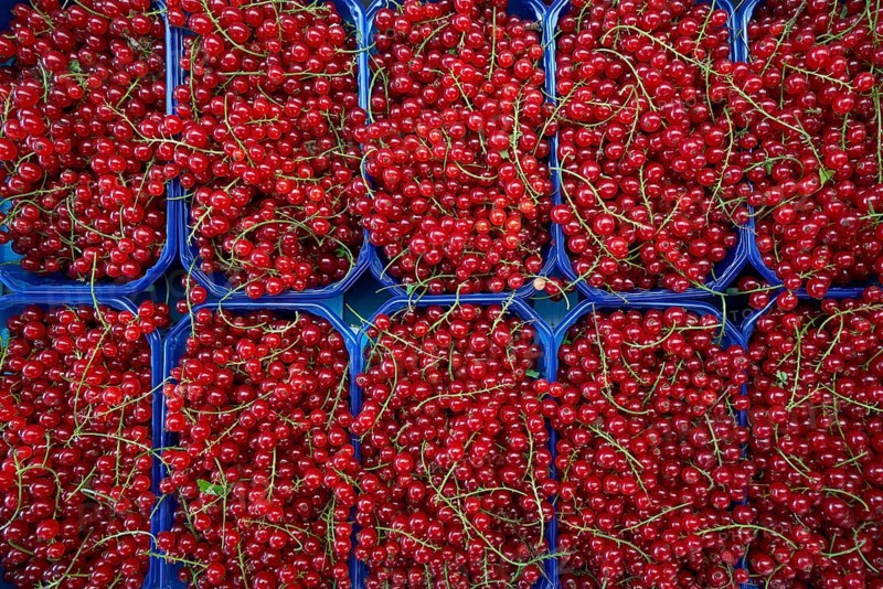 Red currant berries in market boxes pattern background