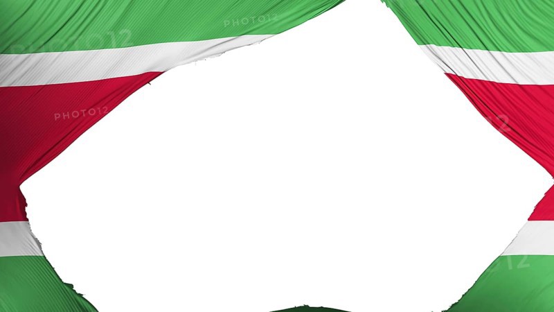 Divided Suriname flag, white background, 3d rendering