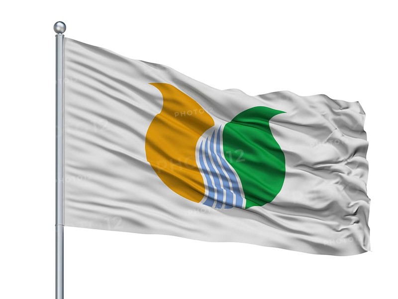 Tonami City Flag On Flagpole, Country Japan, Toyama Prefecture, Isolated On White Background
