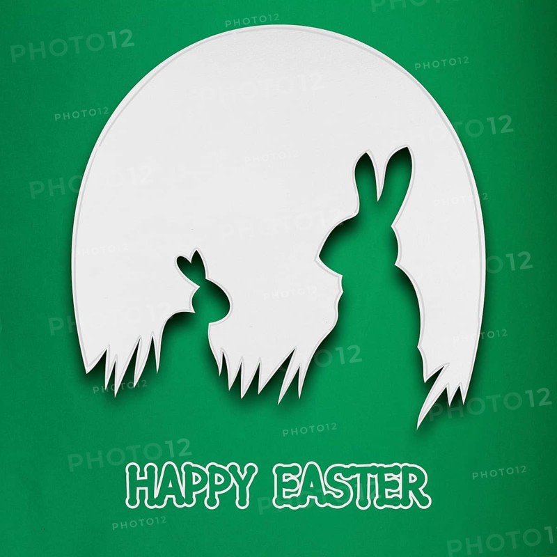 Creative Easter concept photo of two rabbits in a paper egg on a green background