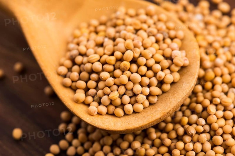 Spicy mustard seeds in a wooden background