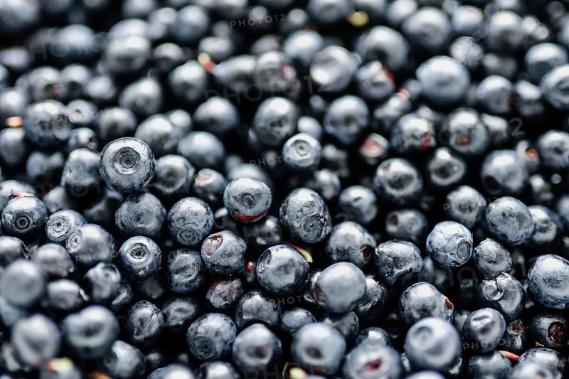 A close-up view of fresh blueberries closely packed together